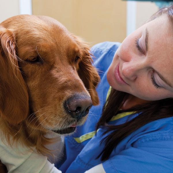 Interview With a Veterinary Technician